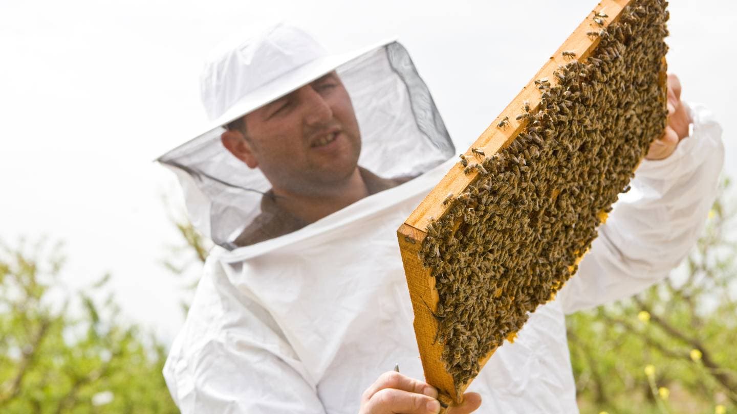 how can beekeepers use integrated pest management effectively 1