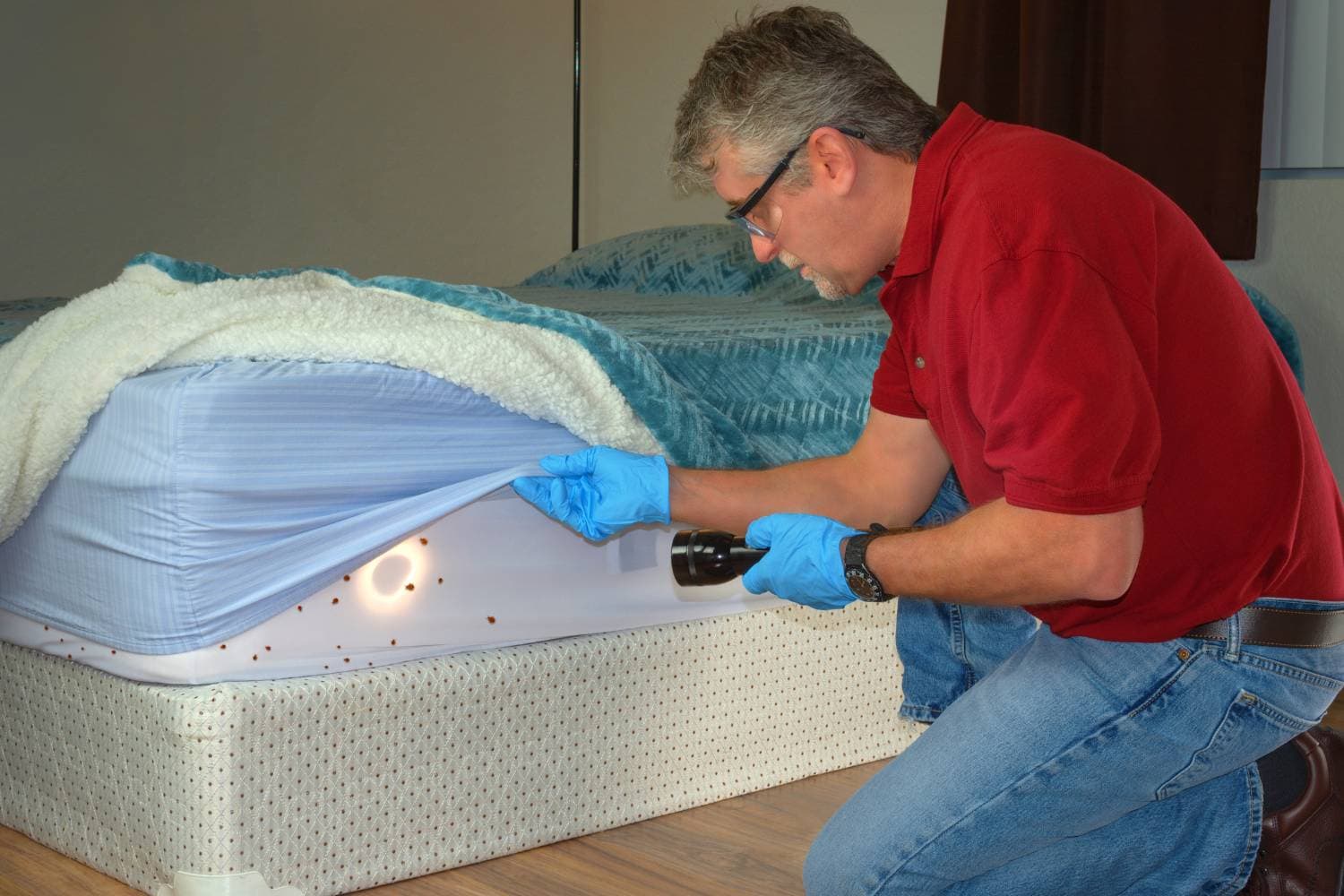 how do you choose a pest control company to control bed bugs 1