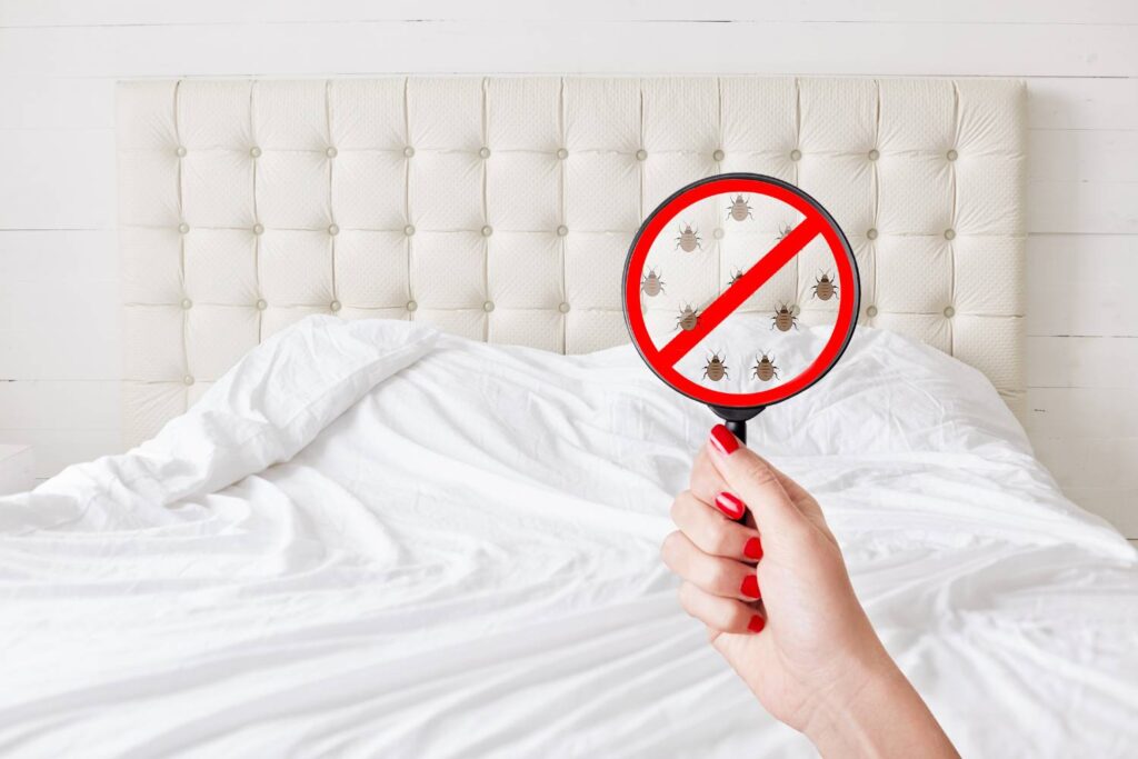 how do you choose a pest control company to control bed bugs