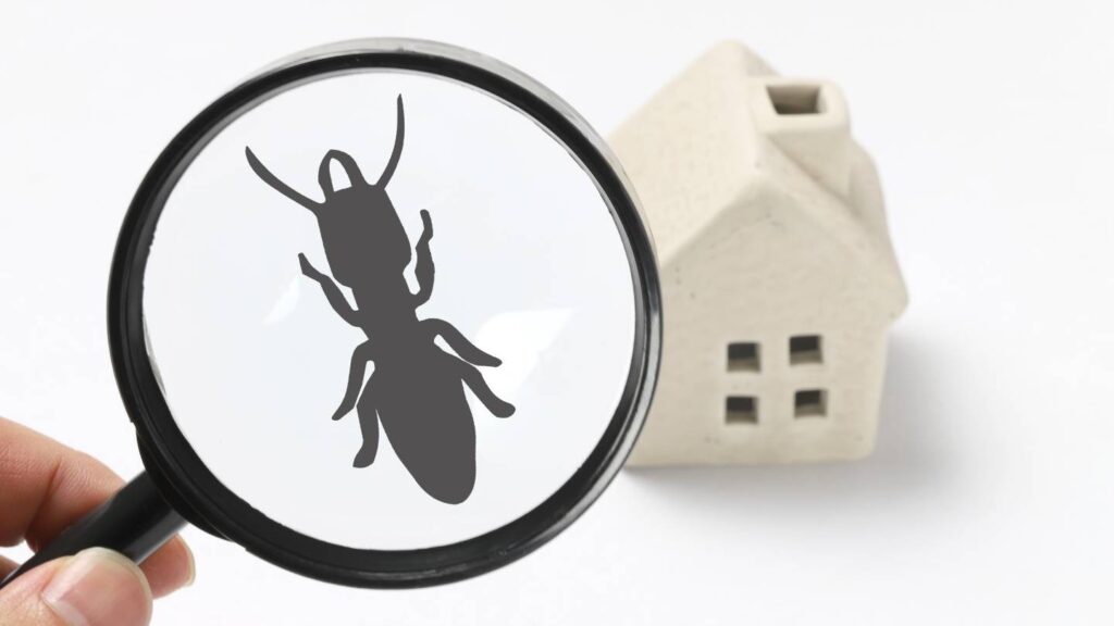 how does residential pest control differ from commercial