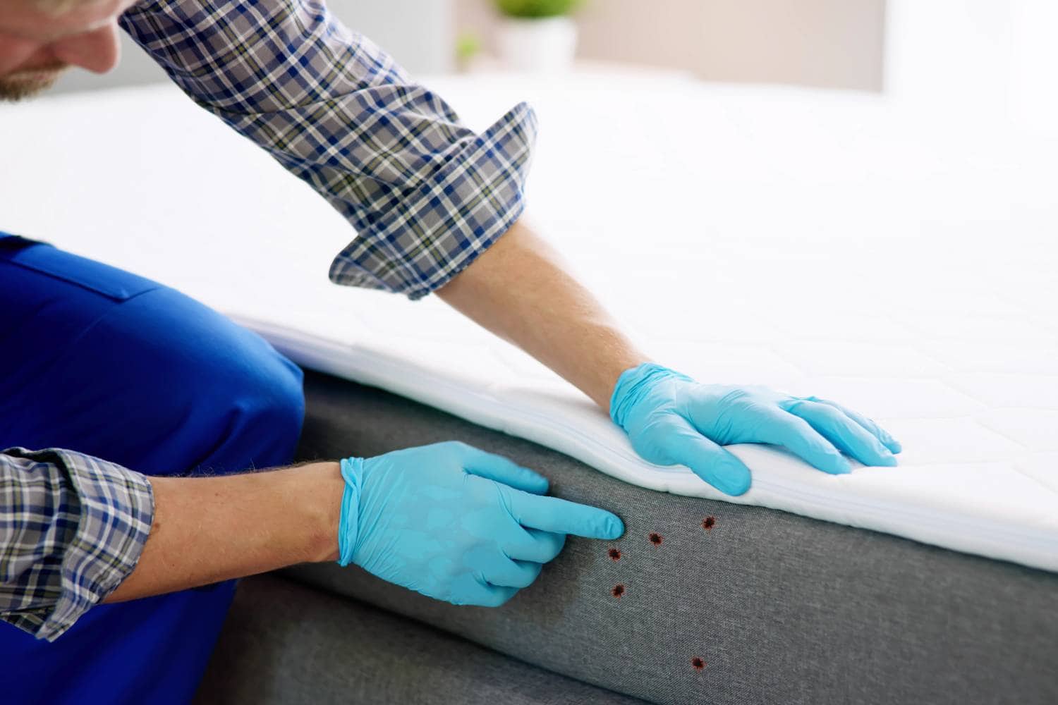 how long does it take for pest control to work on bed bugs 2