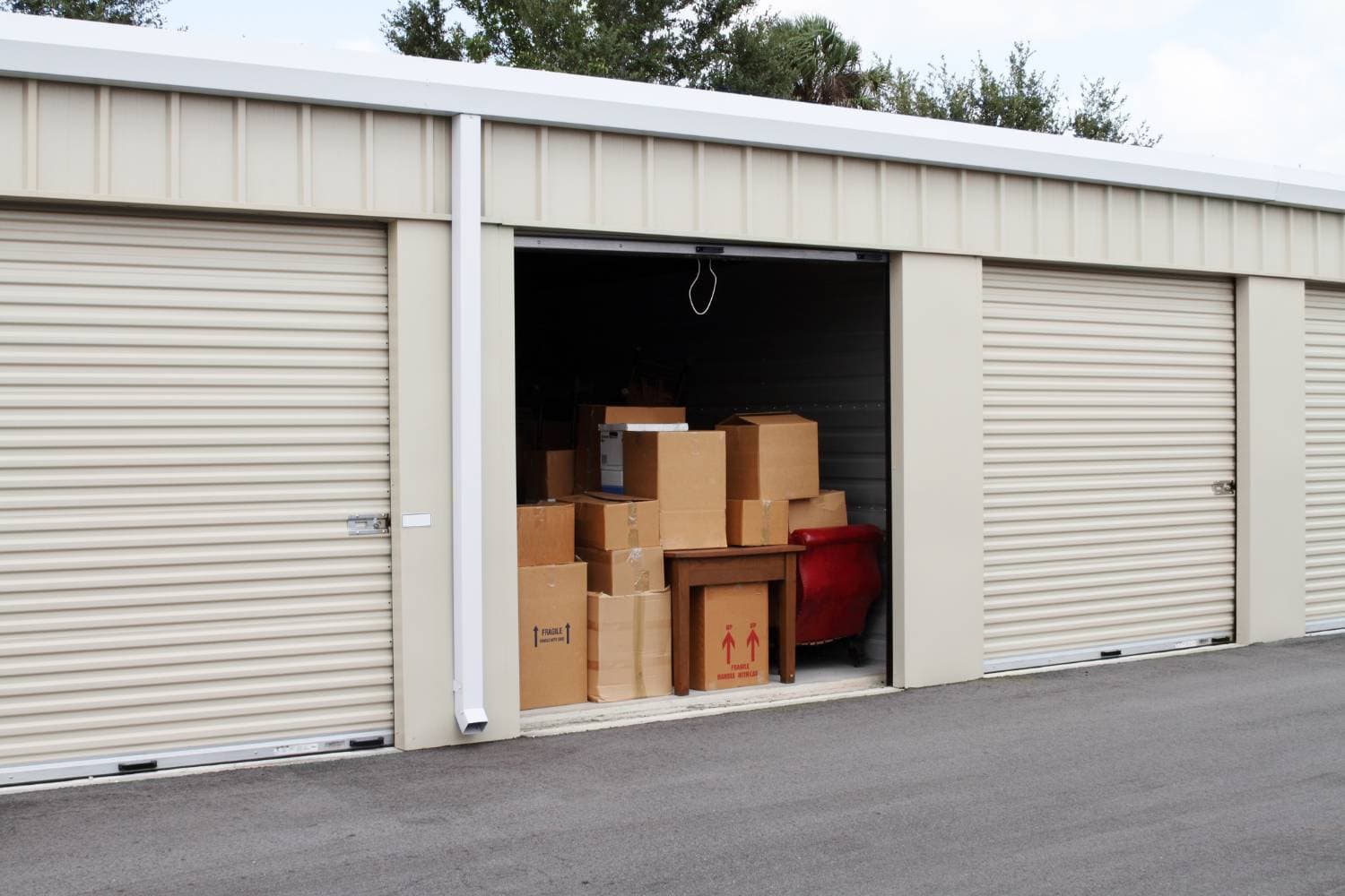 how to keep pests out of your storage unit 2