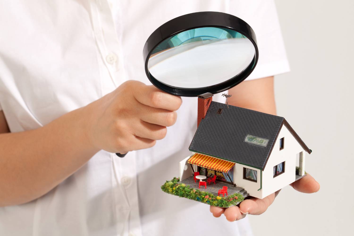 the importance of regular pest inspections on your property 1