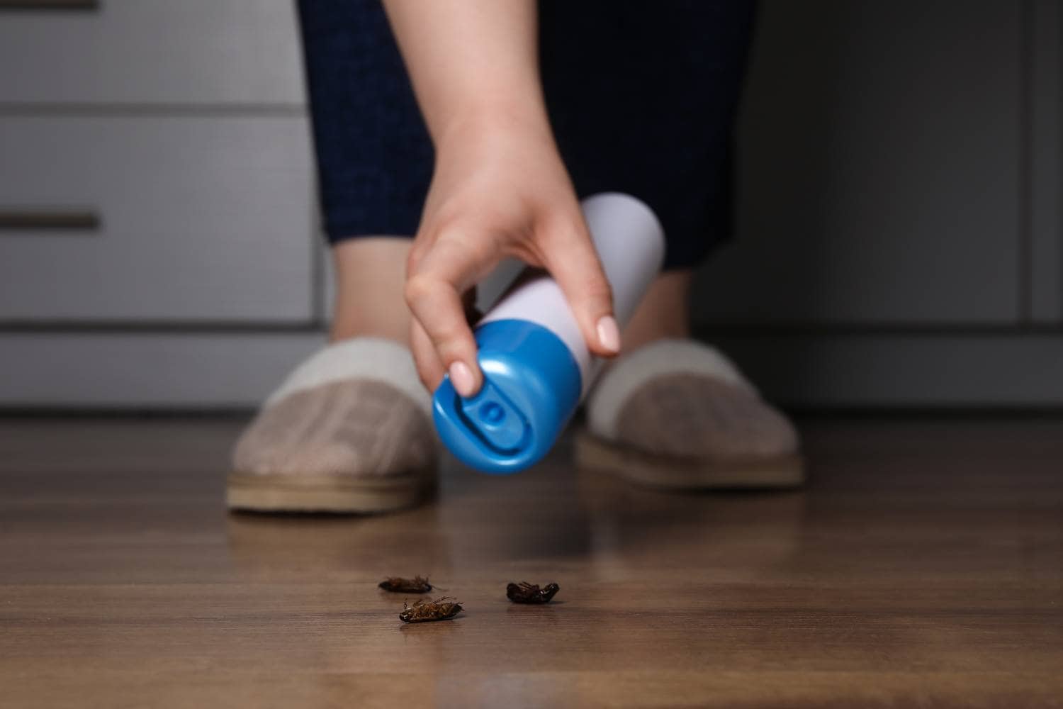 what should you do after cockroach pest control sprays 2
