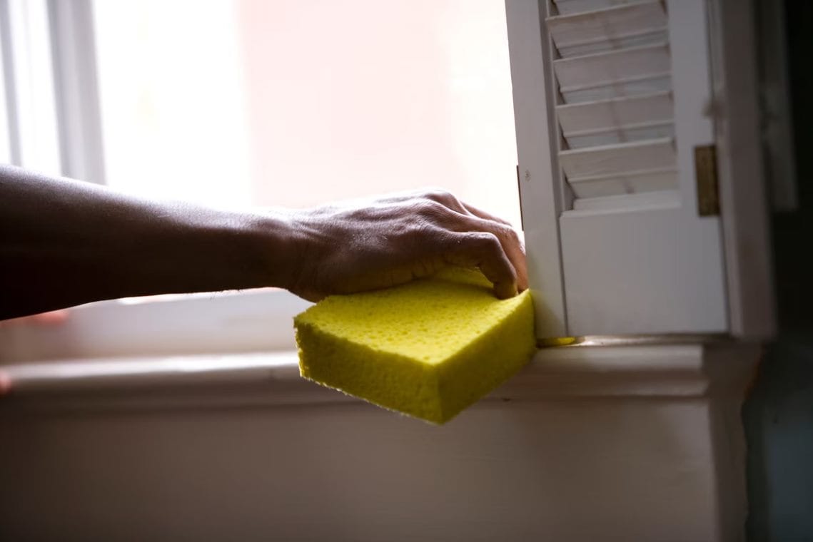 person holding yellow sponge on white surface phot
